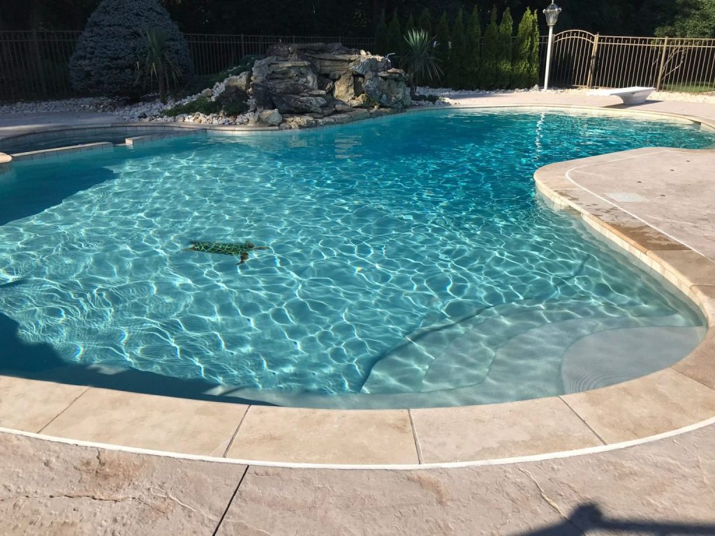 Polished Pebble Pool Finishes Lake Como NJ