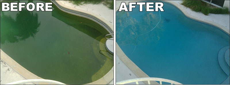 Why is my pool turning green monmouth county nj